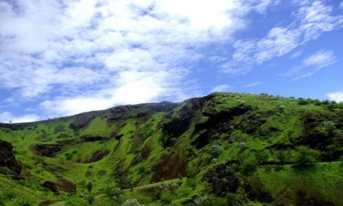 Zdjęcie WYSPY ZIELONEGO PRZYLĄDKA / Afryka / Wyspa Fogo / I niech ktoś powie, że w Afryce nie może być zielono :)