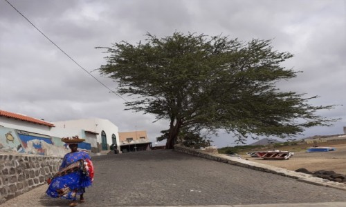 Zdjcie WYSPY ZIELONEGO PRZYLDKA / SAL / SANTA MARIA / CABO VERDE