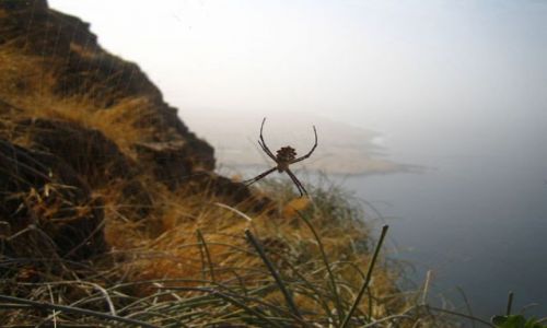 Zdjęcie Wyspy Zielonego Przylądka / Santiago / Tarrafal / Trekking na Santiago