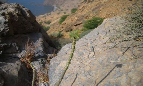 Zdjęcie Wyspy Zielonego Przylądka / Santiago / Tarrafal / Trekking na Santiago