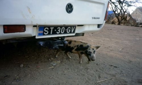 Zdjęcie Wyspy Zielonego Przylądka / Santiago / Pedra Badejo / parking strzeżony