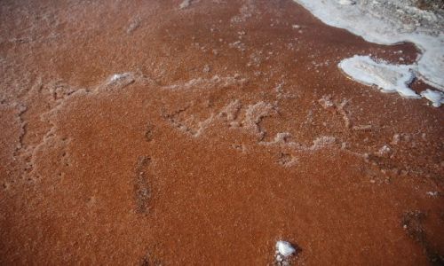 Zdjcie Wyspy Zielonego Przyldka / brak / Sal-Pedra Lume / solne wzory