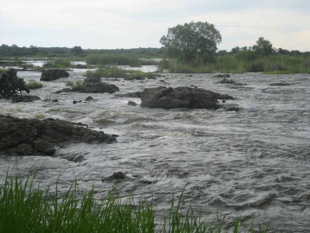 Zdjęcia: Zambia, Zambia, Rzeka Zambezi (przed wodospadami Wiktorii), ZAMBIA Zdjęcia: Zambia, Zambia, Rzeka Zambezi (przed wodospadami Wiktorii), ZAMBIA