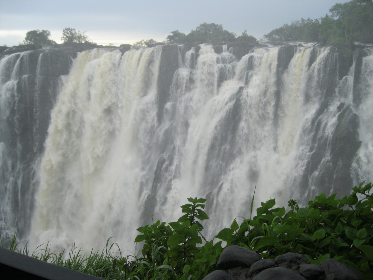Zdjęcia: Zambia, Zambia, Zambia Jezioro Wiktorii, ZAMBIA Zdjęcia: Zambia, Zambia, Zambia Jezioro Wiktorii, ZAMBIA