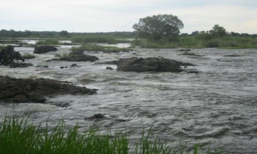 Zdjcie ZAMBIA / Zambia / Zambia / Rzeka Zambezi (przed wodospadami Wiktorii)