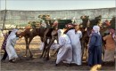 Zdjecie ZJEDNOCZONE EMIRATY ARABSKIE / Ras Al Khaimah / , / Start