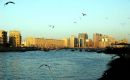 Zdj�cie ZJEDNOCZONE EMIRATY ARABSKIE / Emirat Dubaj / Dubaj / ...