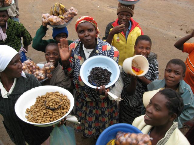 Zdjęcia: droga do Chimanimani, okolice Mashvingo, sklepik mobilny, ZIMBABWE Zdjęcia: droga do Chimanimani, okolice Mashvingo, sklepik mobilny, ZIMBABWE