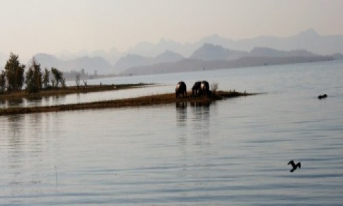 Zdjecie ZIMBABWE / Kariba Lake / Warthogs Bush Camp / wit nad jeziorem Kariba