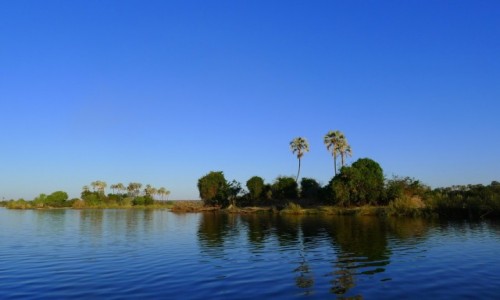 Zdjcie ZIMBABWE / P.  zachodnie Zimbabwe / Rzeka Zambezi/ na odzi / Egzotyczny brzeg Zambezi