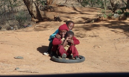 Zdjecie ZIMBABWE / Zachodnie Zimbabwe  / Matobo Hills  / mieszki bez przednich jedynek