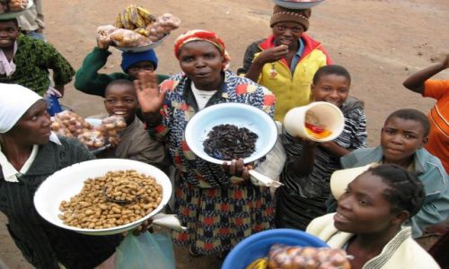 Zdjęcie ZIMBABWE / okolice Mutare / przystanek / pora obiadowa