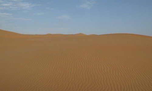 Zdjcie ZJEDNOCZONE EMIRATY ARABSKIE / emirat Abu Zabi / Um az Zamul / pustynia Ar-Rab al-Chali