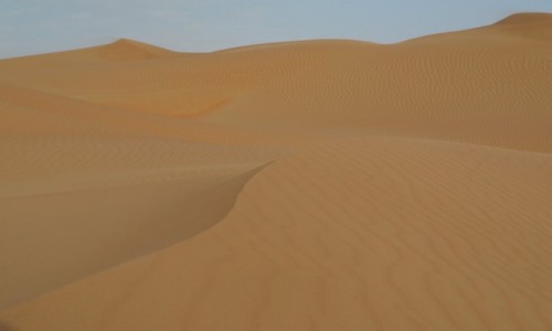 Zdjecie ZJEDNOCZONE EMIRATY ARABSKIE / emirat Abu Zabi / Um az Zamul / pustynia Ar-Rab al-Chali