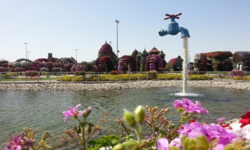 Zdjęcie ZJEDNOCZONE EMIRATY ARABSKIE / Emirat Dubaj / Dubaj / Miracle Garden. Dubaj