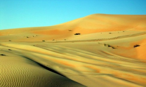 Zdjcie ZJEDNOCZONE EMIRATY ARABSKIE / Emirat Abu Zabi / Liwa / Pustynia Bu Fallah