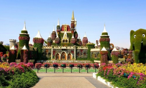 Zdjcie ZJEDNOCZONE EMIRATY ARABSKIE / Dubaj / Dubaj / Miracle Garden