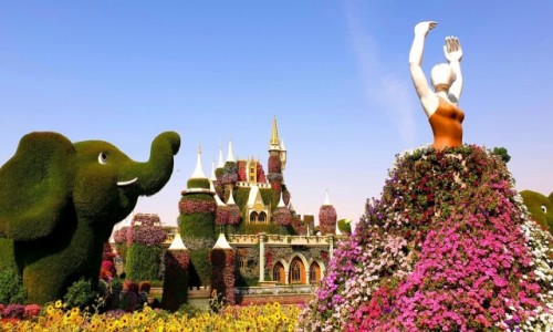 Zdjcie ZJEDNOCZONE EMIRATY ARABSKIE / Dubaj / Dubaj / Miracle Garden