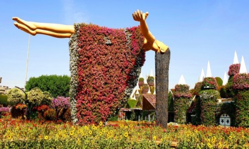 Zdjcie ZJEDNOCZONE EMIRATY ARABSKIE / Dubaj / Dubaj / Miracle Garden