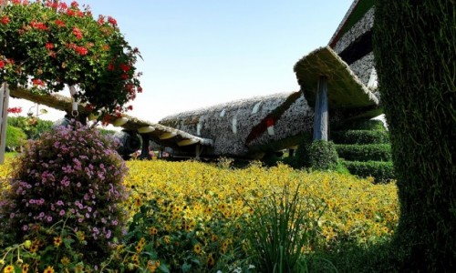 Zdjcie ZJEDNOCZONE EMIRATY ARABSKIE / Dubaj / Dubaj / Miracle Garden