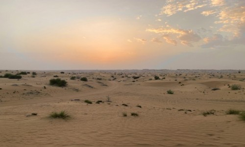 Zdjcie ZJEDNOCZONE EMIRATY ARABSKIE / - / Dubaj  / Zachd soca nad dubajsk pustyni