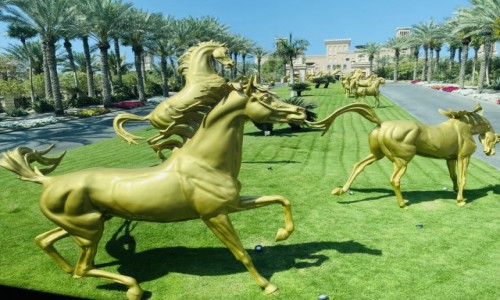 Zdjecie ZJEDNOCZONE EMIRATY ARABSKIE / - / Dubai  / Konie Arabskie 